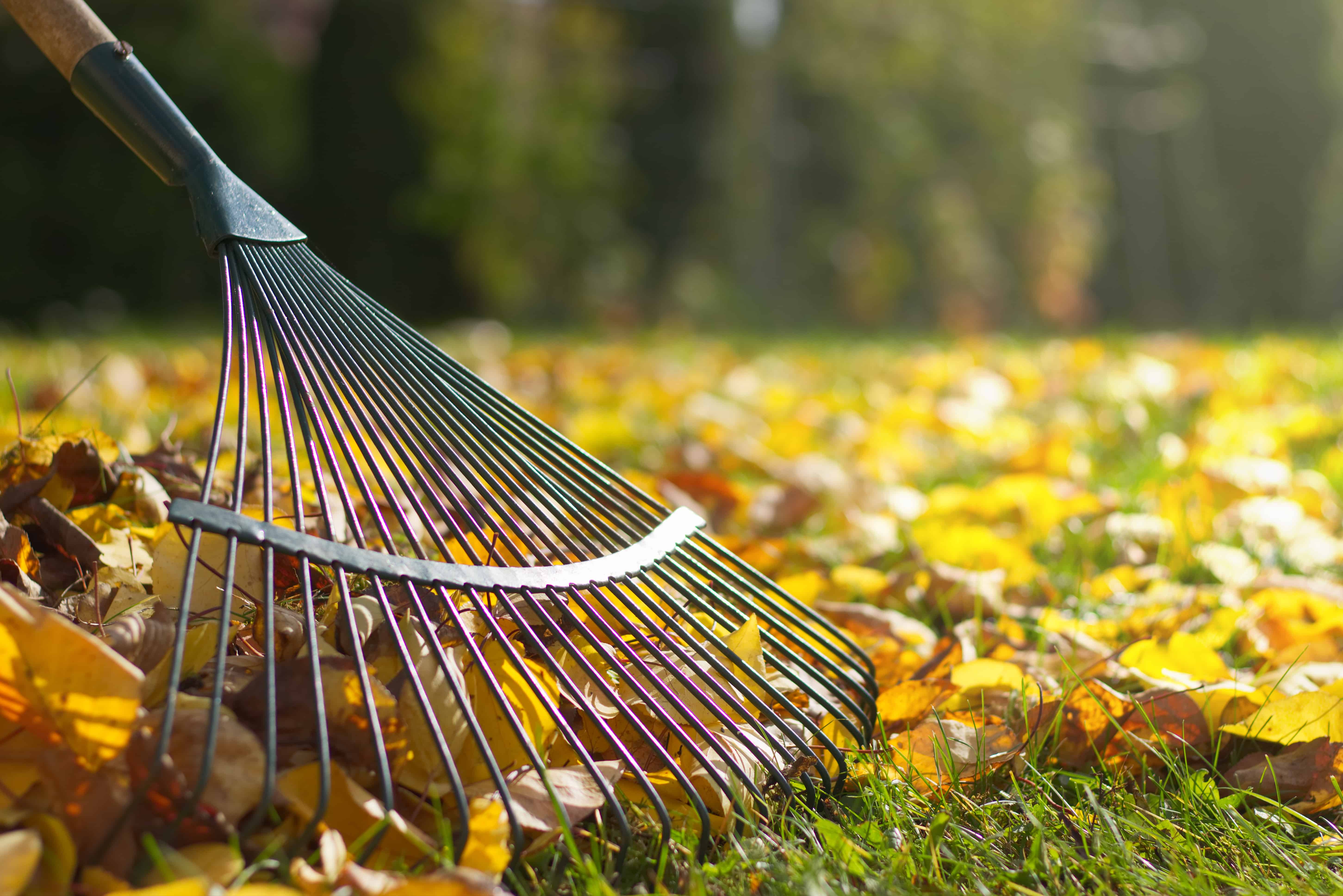 Indoor & Outdoor Maintenance